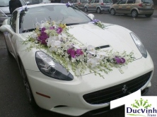 Cho thuê xe cưới ferrari california màu trắng