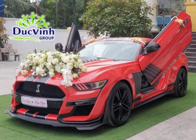 Cho thuê xe cưới Ford Mustang