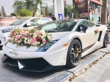 Cho thuê xe hoa Lamborghini Gallardo màu trắng
