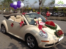 Cho thuê xe cưới mui trần Bọ Beetle