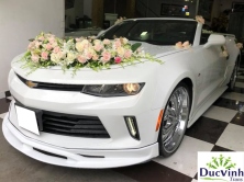 Cho thuê xe cưới mui trần Camaro