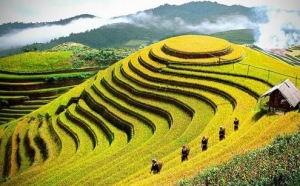 Thuê xe 16 chỗ đi Hà Nội - Mù Căng Chải - Suối Giàng - Tú Lệ ở đâu tốt nhất